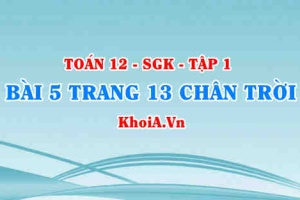 Bài 5 trang 13 Toán 12 Tập 1 Chân trời sáng tạo